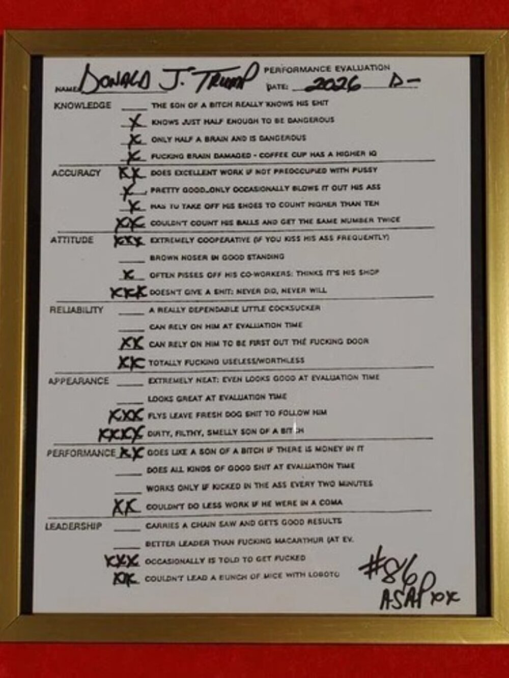 Gold Framed Donald Trump 2026 Performance Evaluation - POS - NOT For Kids!